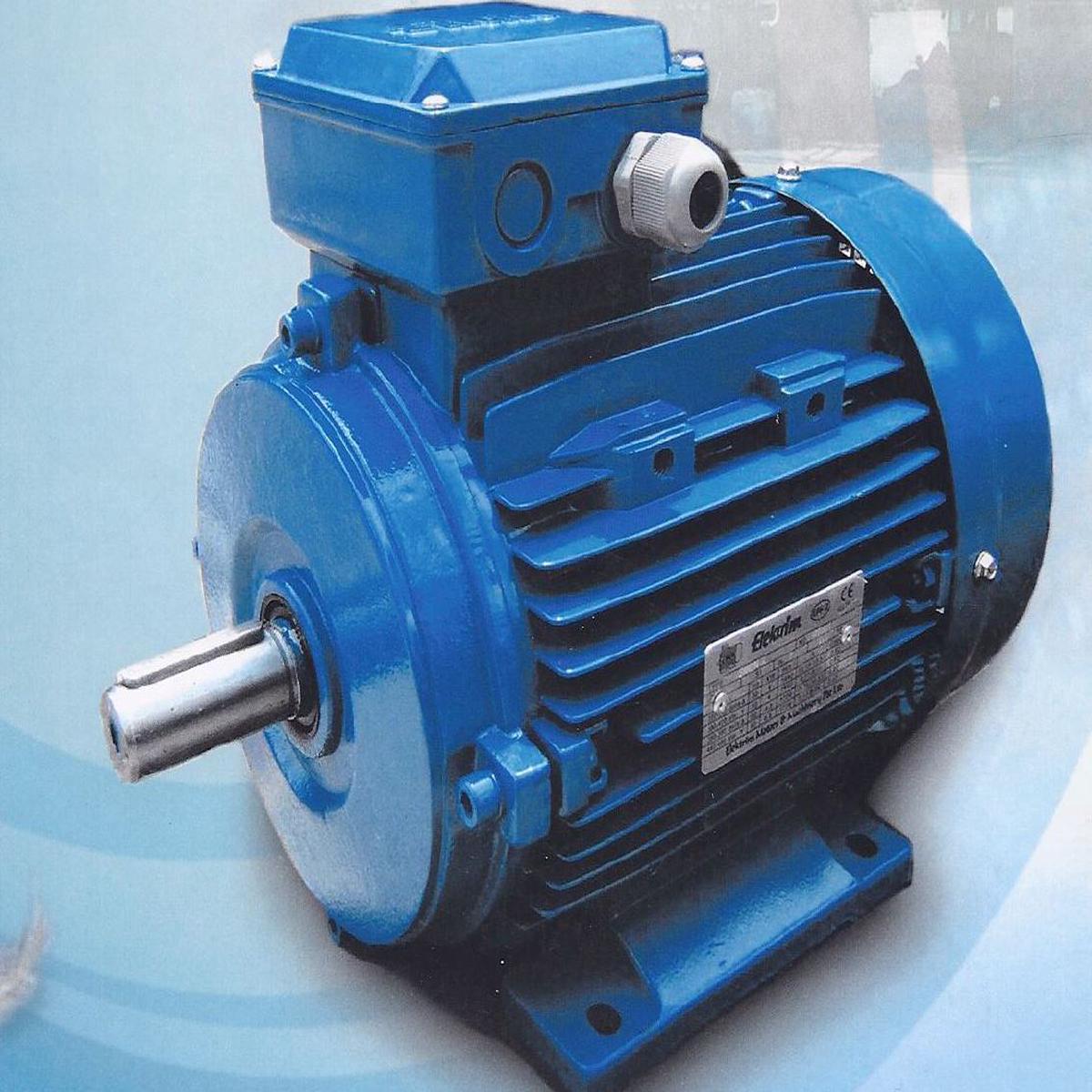 Emm Motor 5.5Hp 2P 3000Rpm 415V 50Hz Model : CM-EM112M-2