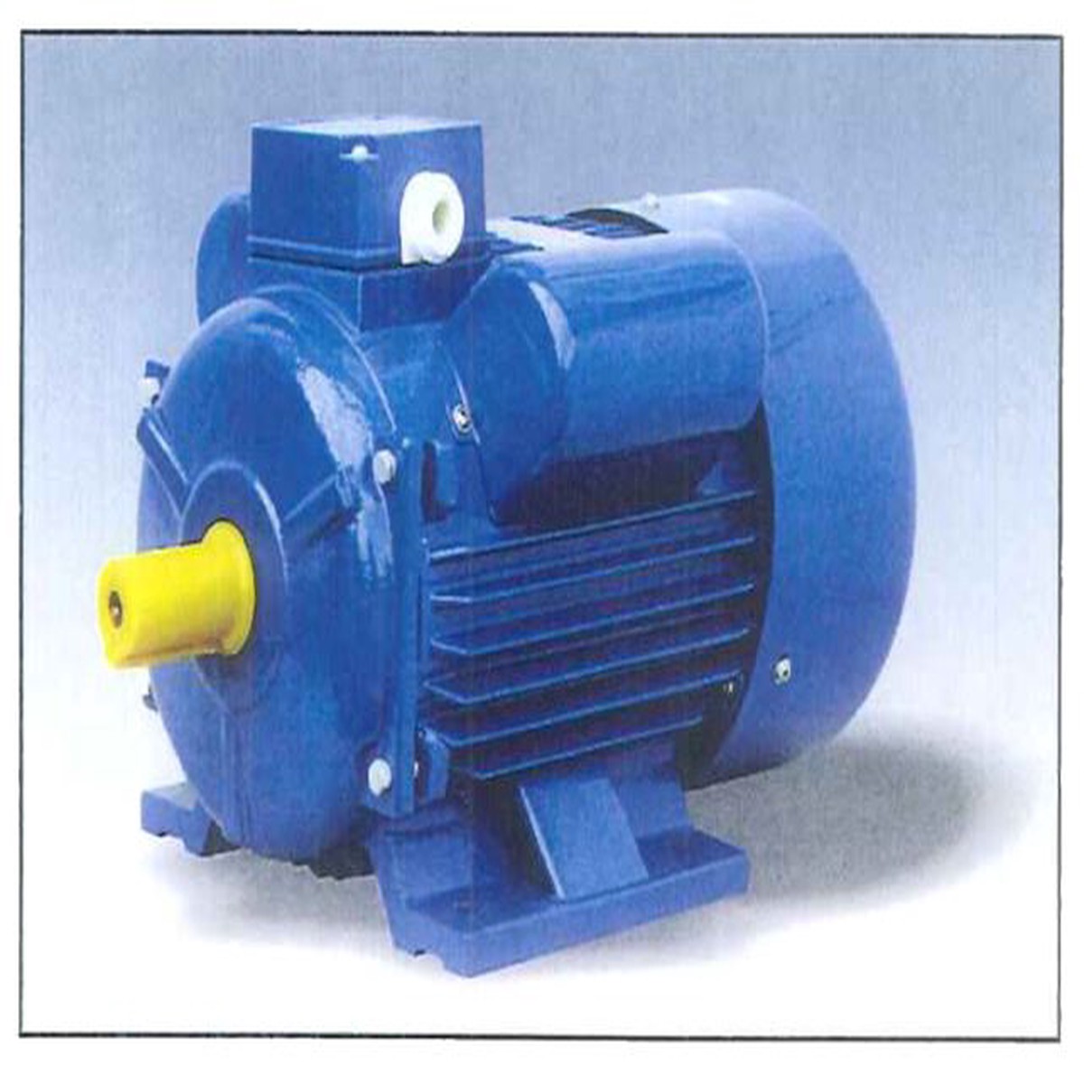 ABLE 1.5HP 240V 50HZ Motor YC90S-2 | Model : CM-AB-YC90S-2