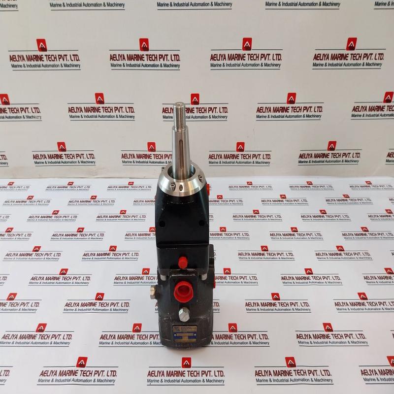 Rotary Power P20N4N6N00 Motor