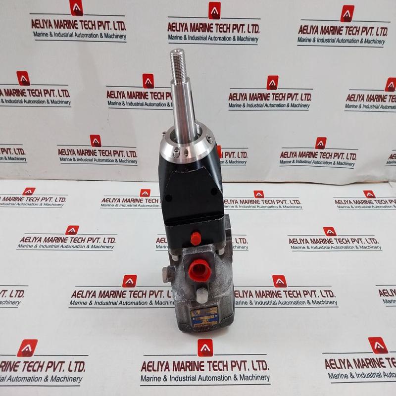 Rotary Power P20P4N6N00 Motor