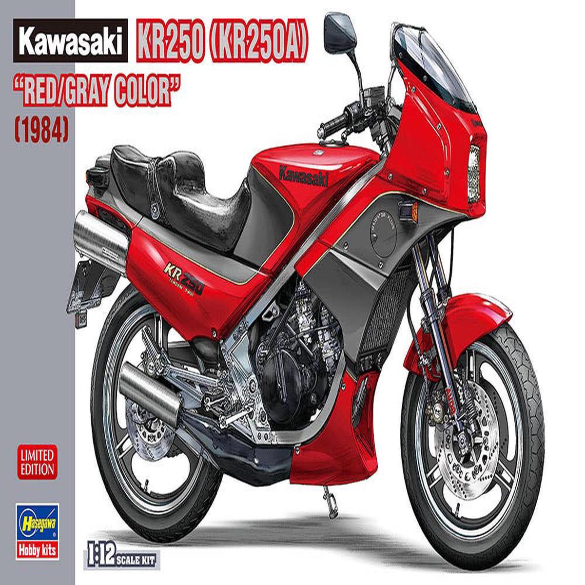 1/12 Kawasaki KR250 (KR250A) "RED/GRAY COLOR"